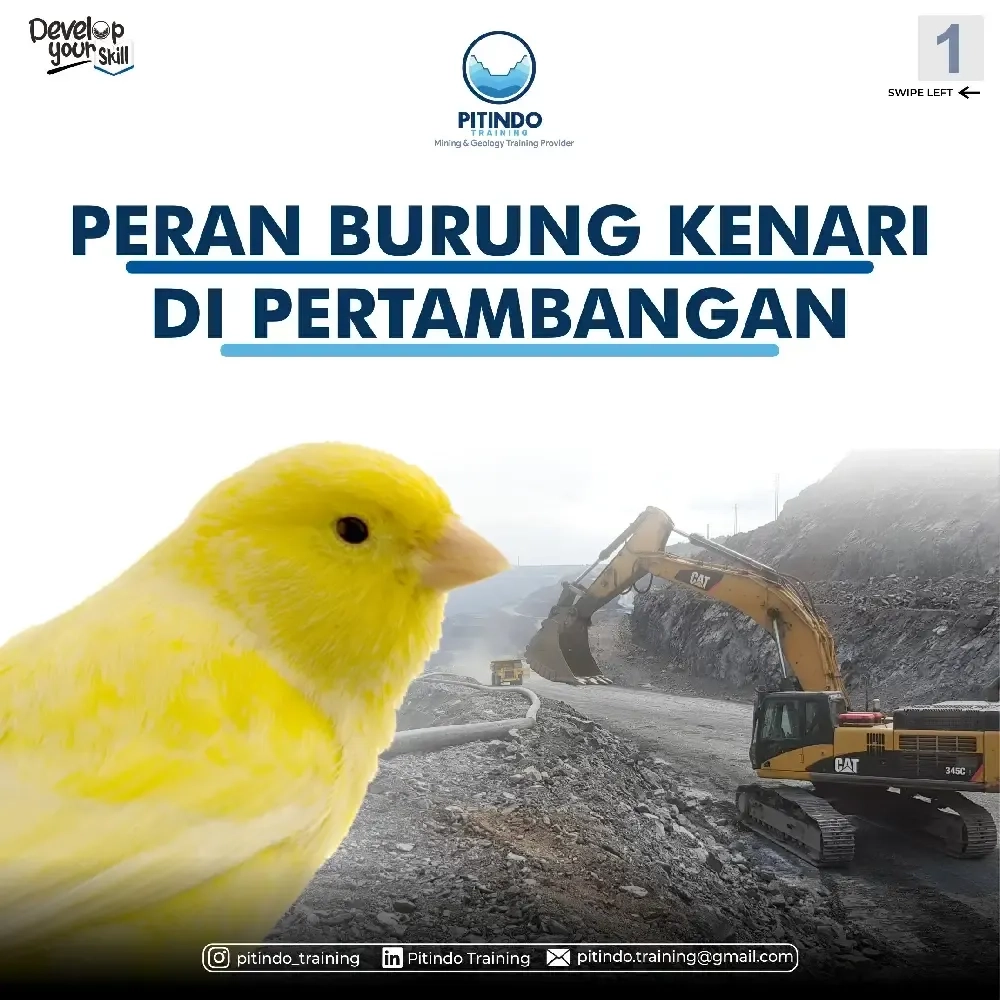 Peran Burung Kenari Di Pertambangan